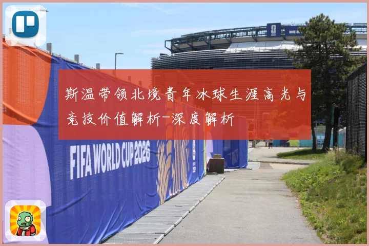 斯温带领北境青年冰球生涯高光与竞技价值解析-深度解析