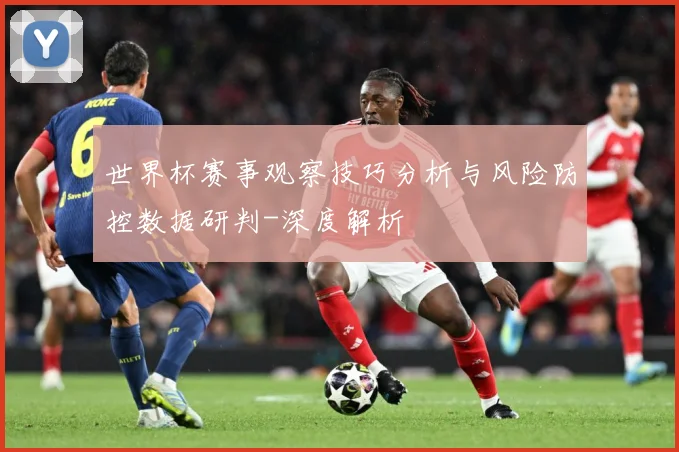 世界杯赛事观察技巧分析与风险防控数据研判-深度解析