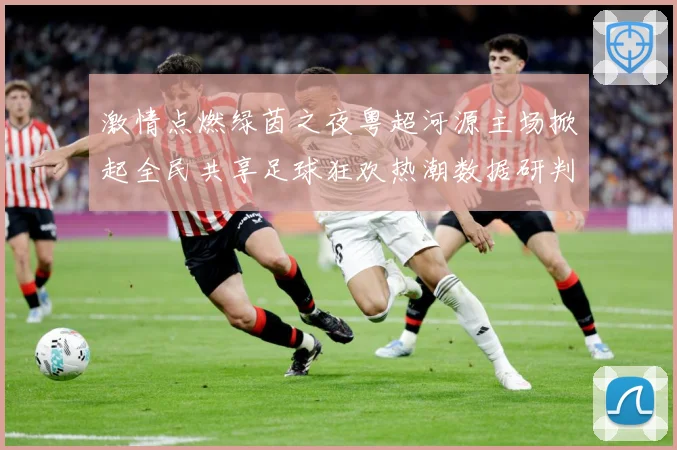 激情点燃绿茵之夜粤超河源主场掀起全民共享足球狂欢热潮数据研判-深度解析